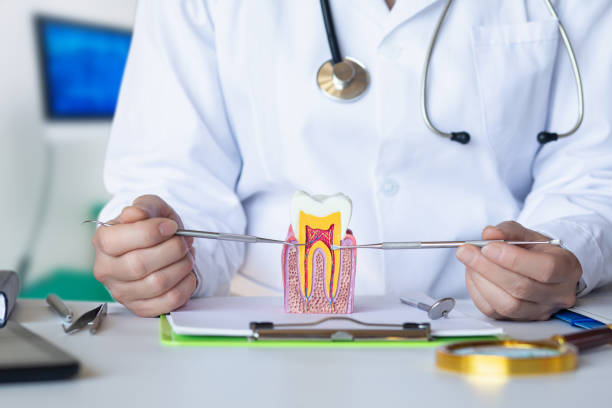 Best Emergency Wisdom Teeth Removal in Belwood, NC